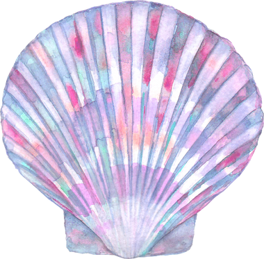 Watercolor Seashell Element